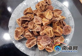 陆侨珍稀无核荔枝干将首次亮相海南第一年货展