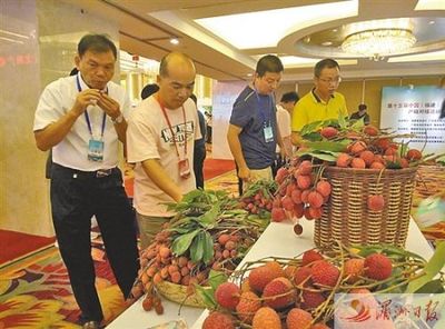 正是荔枝龙眼飘香时 中国(福建)荔枝龙眼产销对接会在莆举行