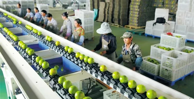 数字乡村优秀案例推广①:澄迈县“特色品牌战略助推高效农业发展”入选国家数字乡村试点优秀案例