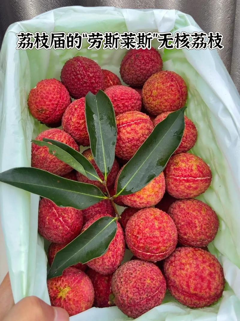 无核荔枝!口感清甜无籽,果香浓郁!我超爱吃的