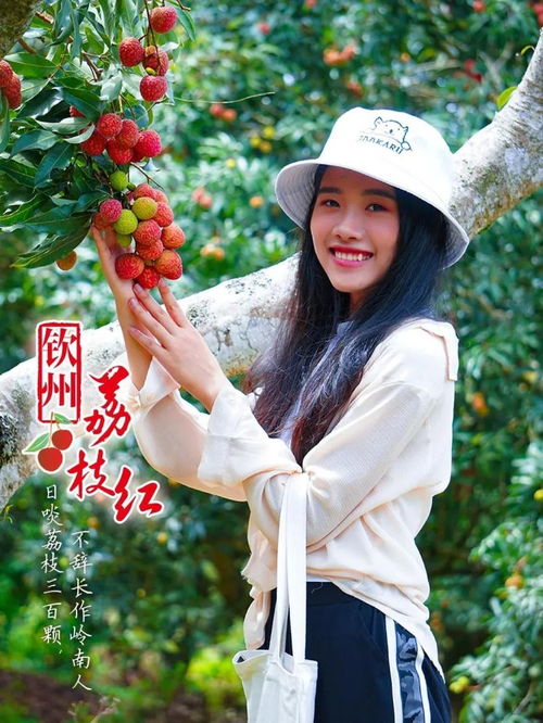 快收藏 端午节荔枝游精品旅游线路来啦