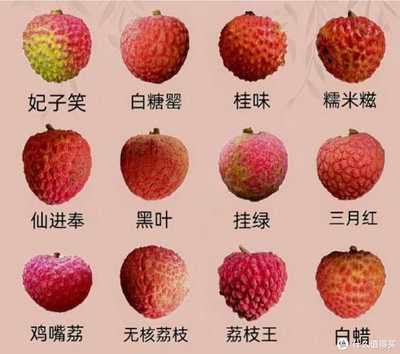 荔枝的分类与无核荔枝——你尝过几种？